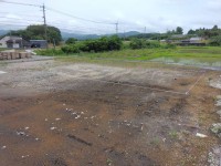 地縄張り