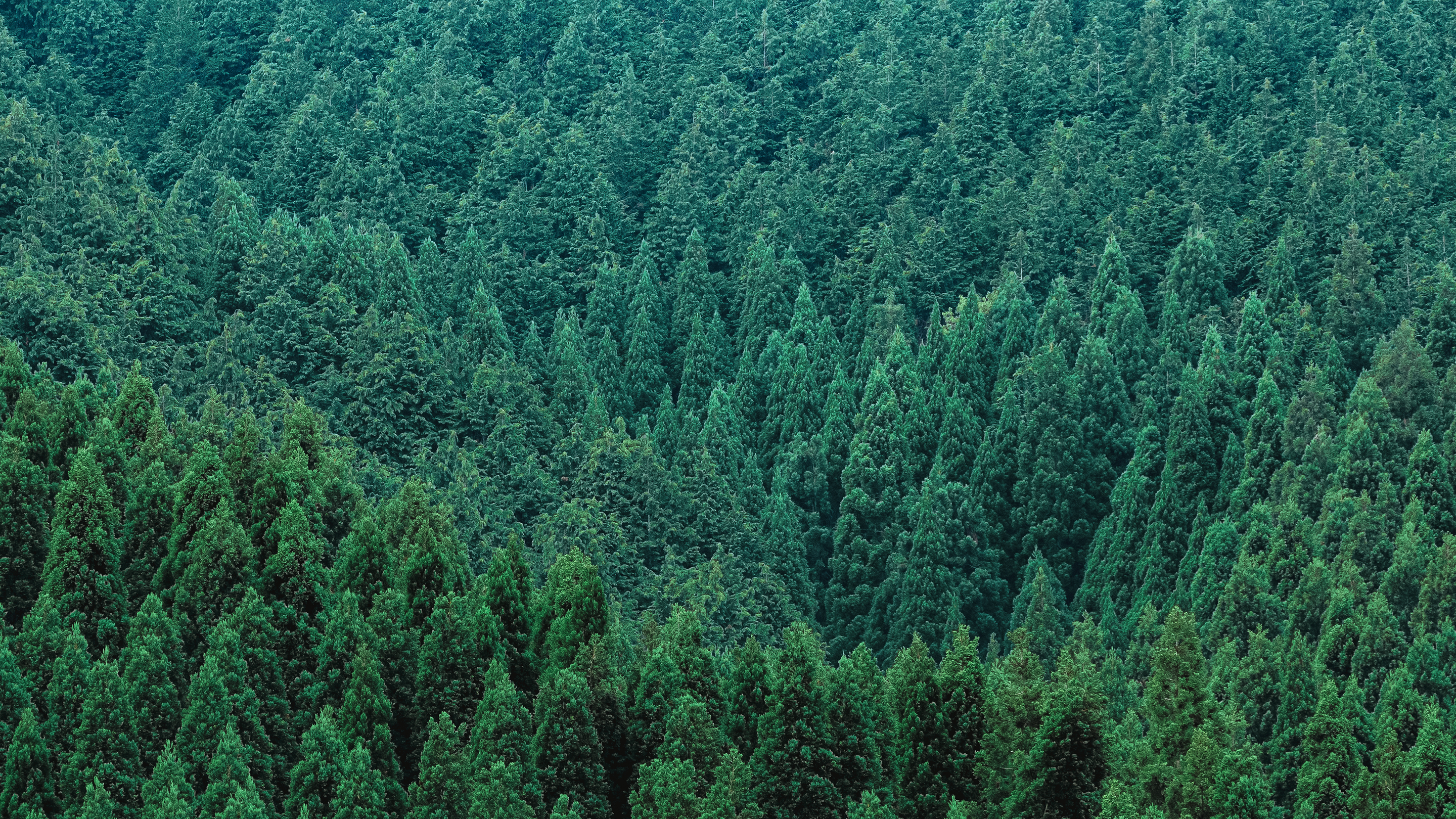 住まいの特徴 ヒーロー画像