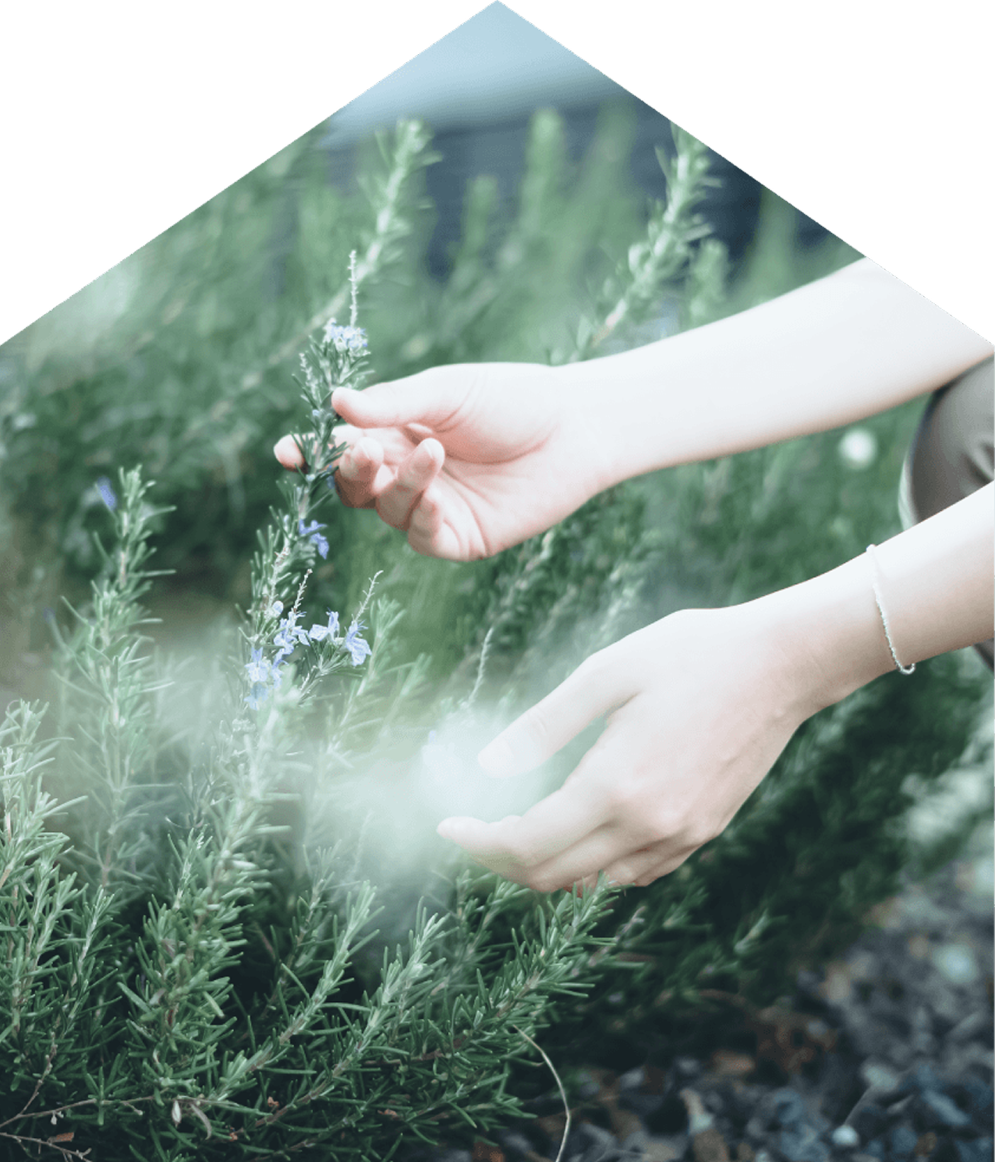 上原林業 メインビジュアル